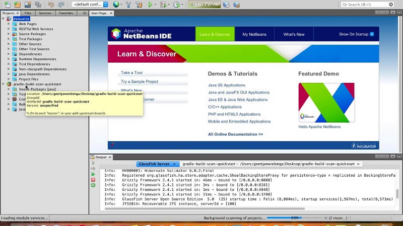 Apache NetBeans.jpg