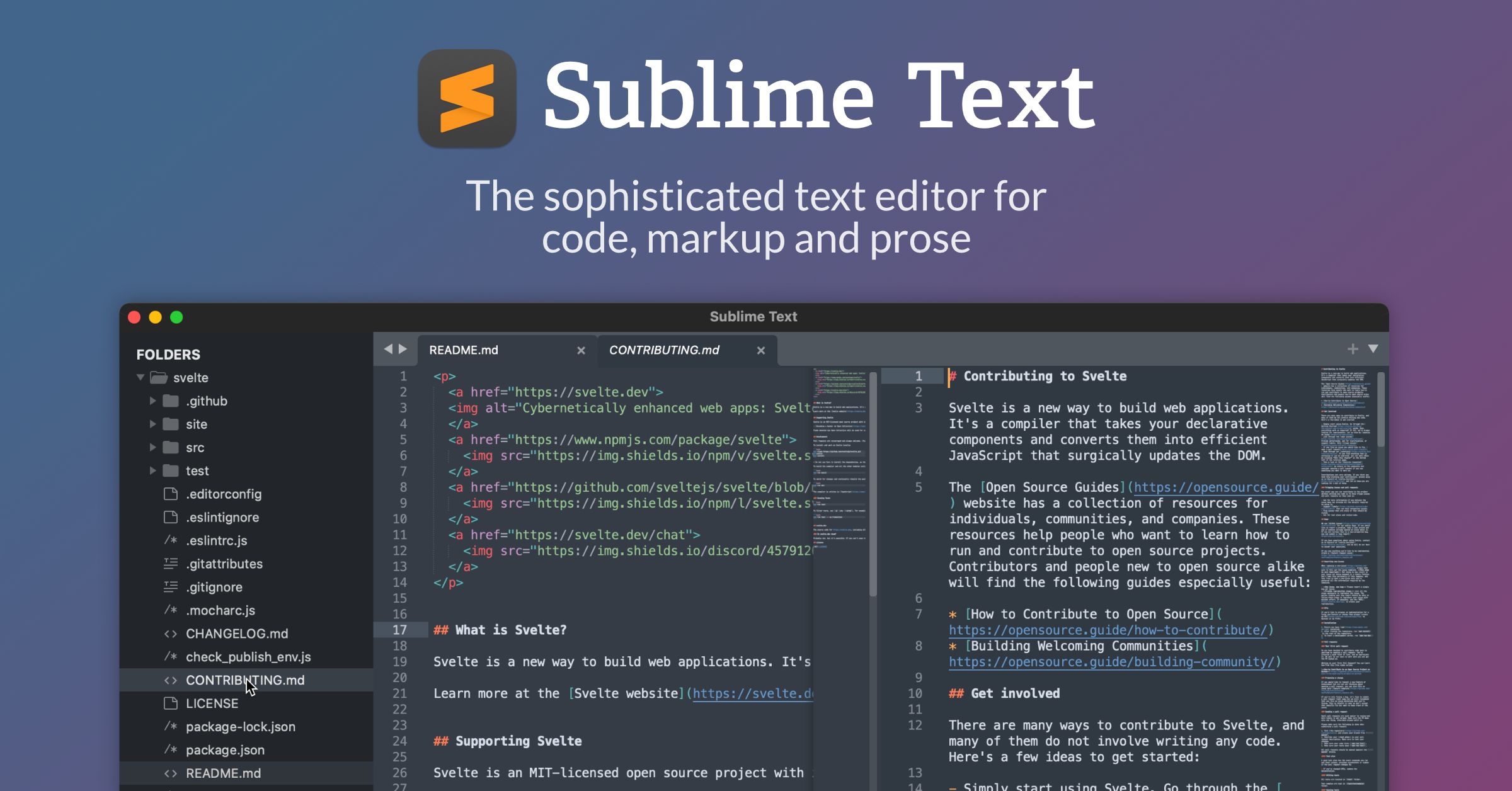 Sublime ide.jpg